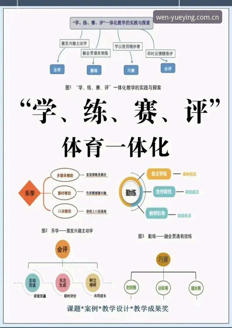 官方体育数据服务vs民间赛事分析工具：悦盈体育使用教程深度对比