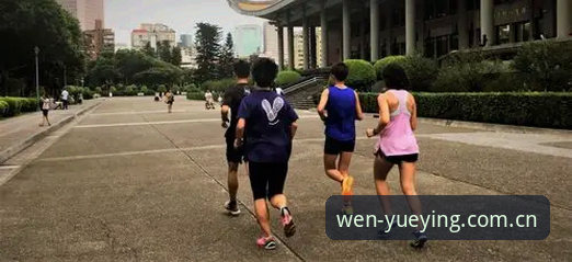 如何高效掌握悦盈体育官方数据使用技巧？从新手到高手的完整指南